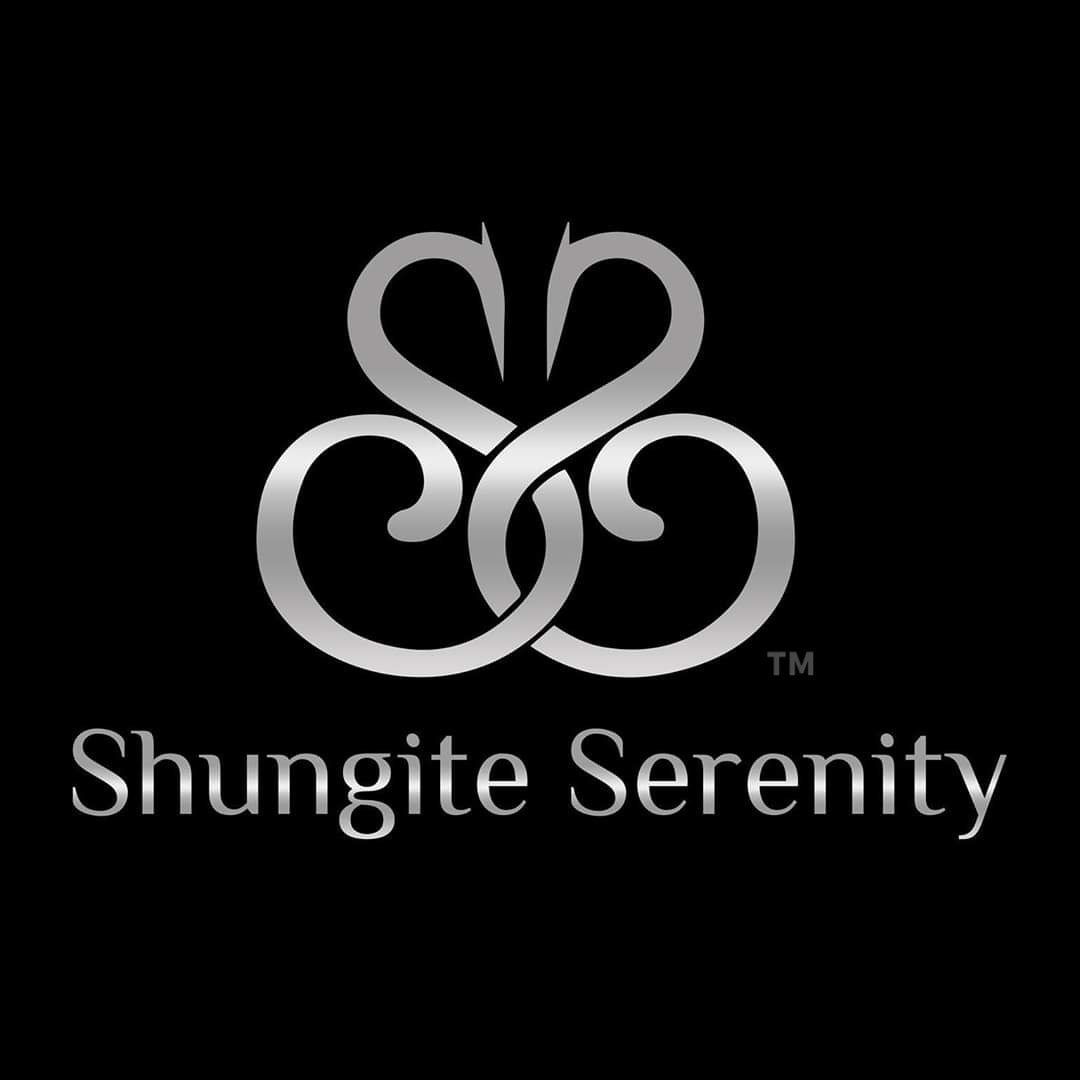 Shungite Circle In Circle Pendant