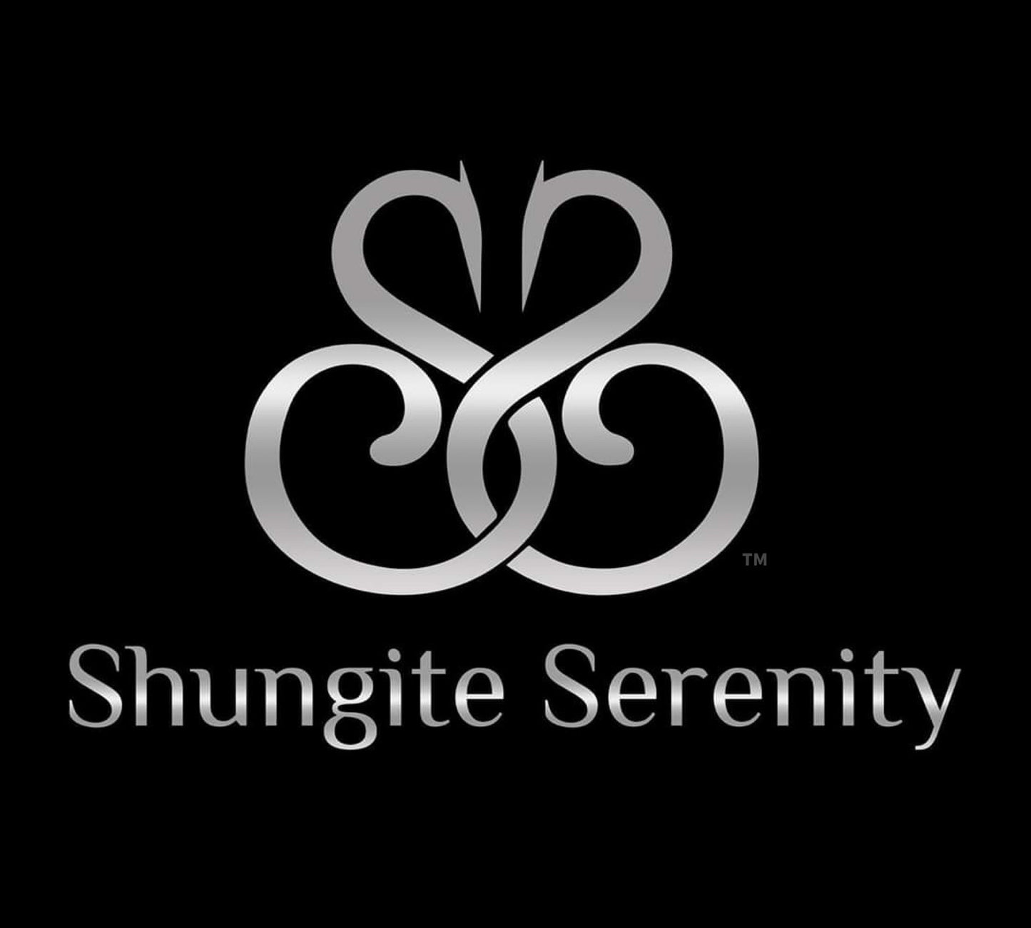 Shungite Circle In Circle Pendant