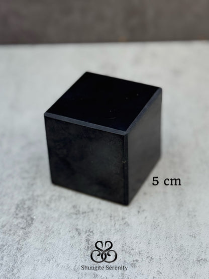 Shungite Cube