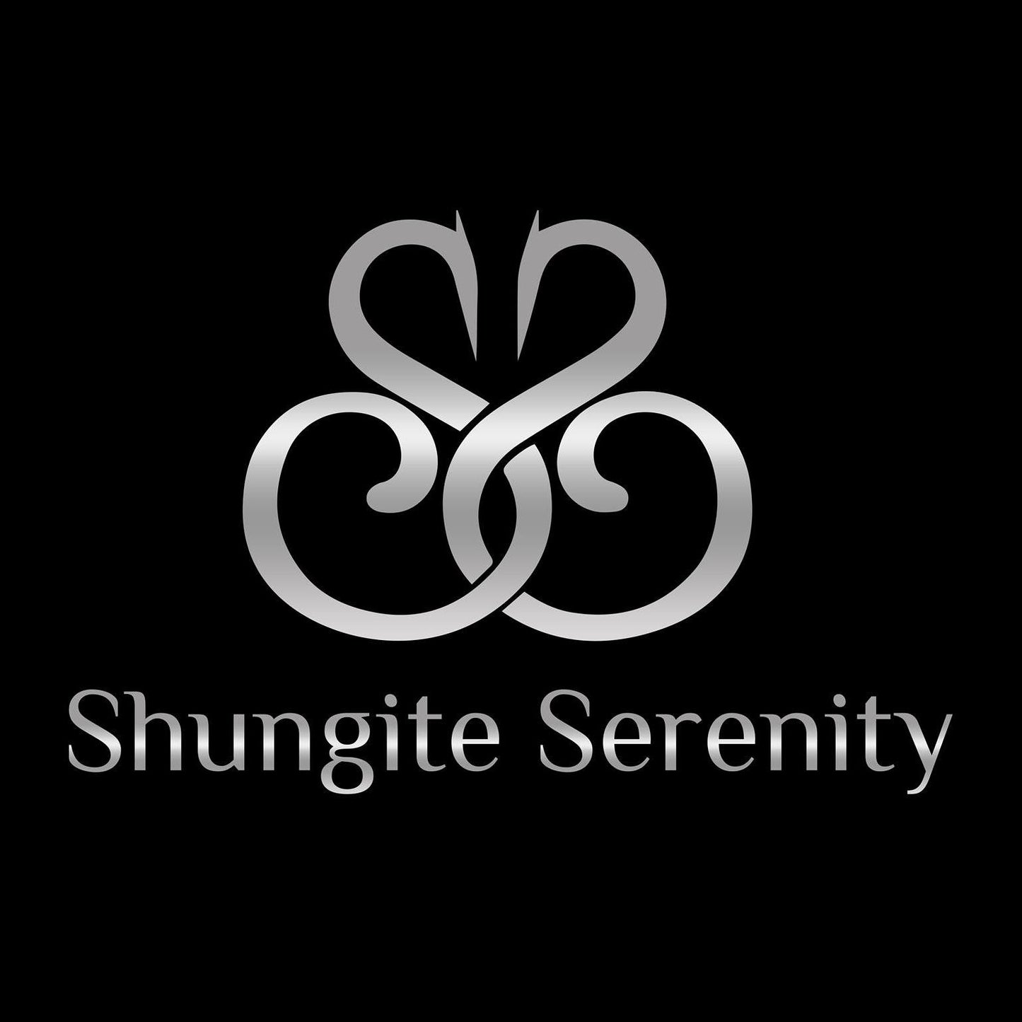 Shungite Circle In Circle Pendant